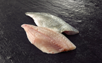 Fresh Sea Bream Fillets