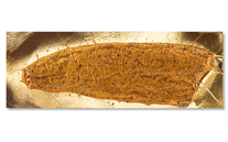 Whole Side - Kiln Roasted Smoked Salmon with Honey & Mustard Seeds